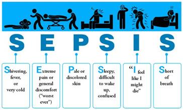 15 اردیبهشت روز جهانی بهداشت دست
