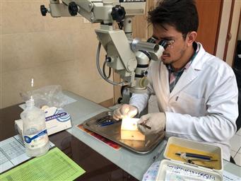 کارگاه vet lab مرکز چشم نیکوکاری ویژه دستیاران تخصصی سال دو و سه 1402/07/12